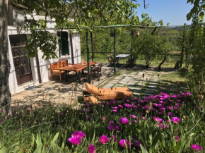 Отель Temenia House  Temenia